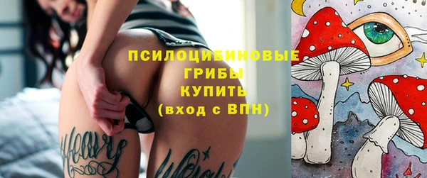 МДПВ Козельск