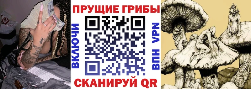 Псилоцибиновые грибы прущие грибы  Купить где  Ярцево 
